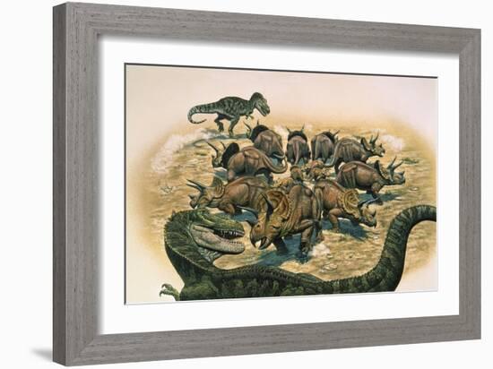 A Herd of Triceratops Defend their Territory Against a Pair of Tyrannosaurus Rex-null-Framed Art Print