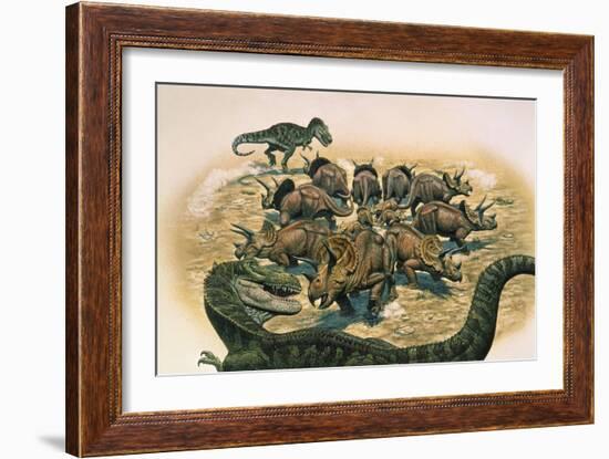 A Herd of Triceratops Defend their Territory Against a Pair of Tyrannosaurus Rex-null-Framed Art Print