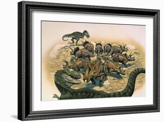 A Herd of Triceratops Defend their Territory Against a Pair of Tyrannosaurus Rex-null-Framed Art Print