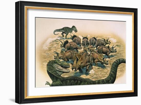 A Herd of Triceratops Defend their Territory Against a Pair of Tyrannosaurus Rex-null-Framed Art Print