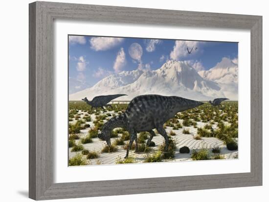 A Herd of Velafrons Hadrosaurid Dinosaurs During the Cretaceous Period-Stocktrek Images-Framed Art Print