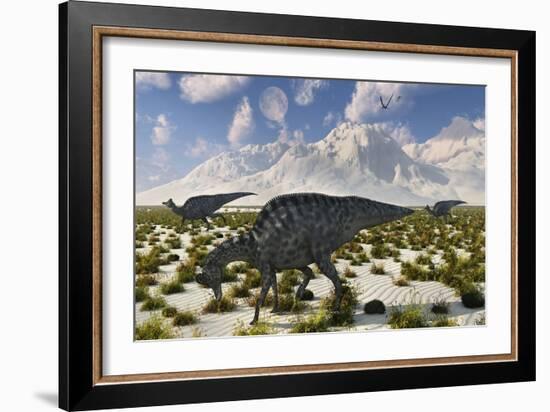A Herd of Velafrons Hadrosaurid Dinosaurs During the Cretaceous Period-Stocktrek Images-Framed Art Print