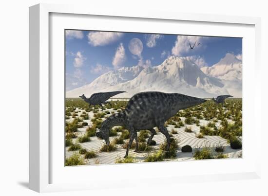 A Herd of Velafrons Hadrosaurid Dinosaurs During the Cretaceous Period-Stocktrek Images-Framed Art Print