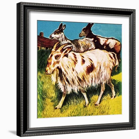 A Herd or Tribe of Goats-English School-Framed Giclee Print