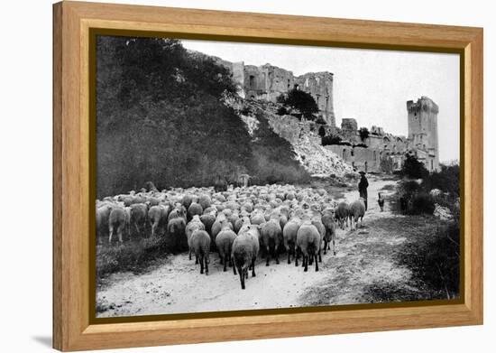 A Herd Passes in Front-Brothers Seeberger-Framed Premier Image Canvas