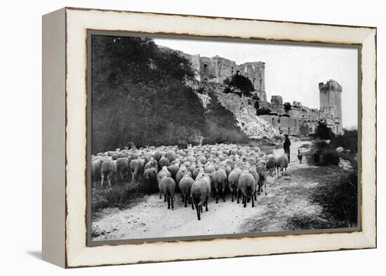 A Herd Passes in Front-Brothers Seeberger-Framed Premier Image Canvas