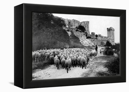 A Herd Passes in Front-Brothers Seeberger-Framed Premier Image Canvas