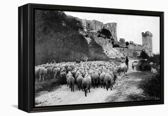 A Herd Passes in Front-Brothers Seeberger-Framed Premier Image Canvas