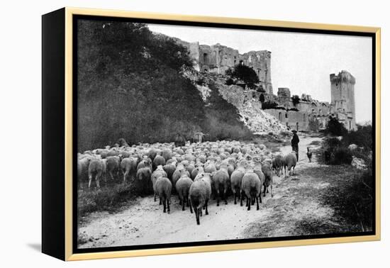 A Herd Passes in Front-Brothers Seeberger-Framed Premier Image Canvas