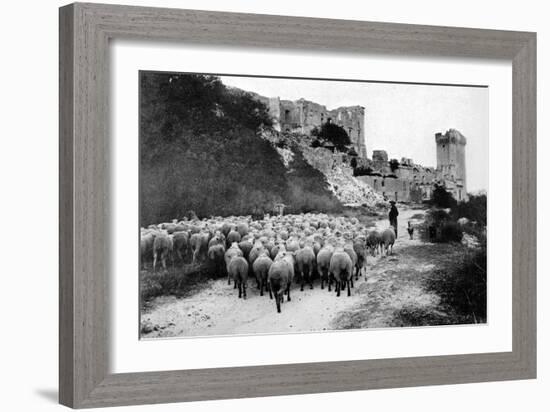 A Herd Passes in Front-Brothers Seeberger-Framed Photographic Print