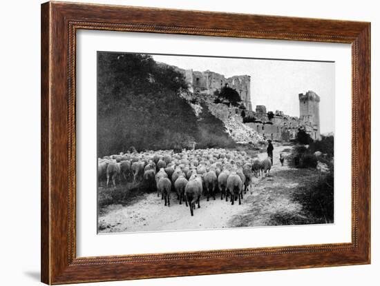 A Herd Passes in Front-Brothers Seeberger-Framed Photographic Print