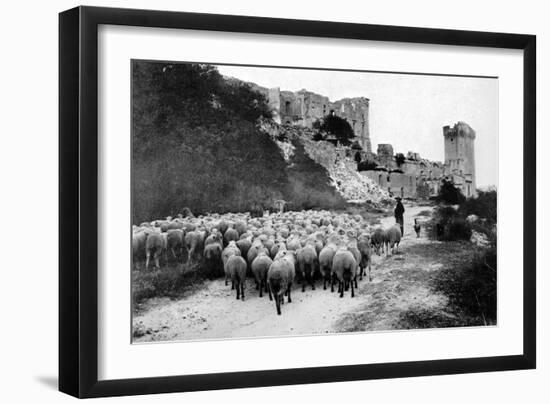 A Herd Passes in Front-Brothers Seeberger-Framed Photographic Print