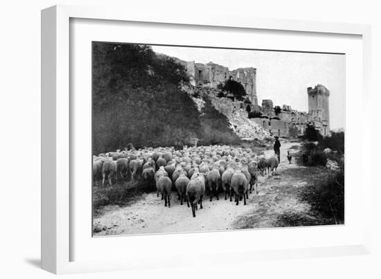 A Herd Passes in Front-Brothers Seeberger-Framed Photographic Print