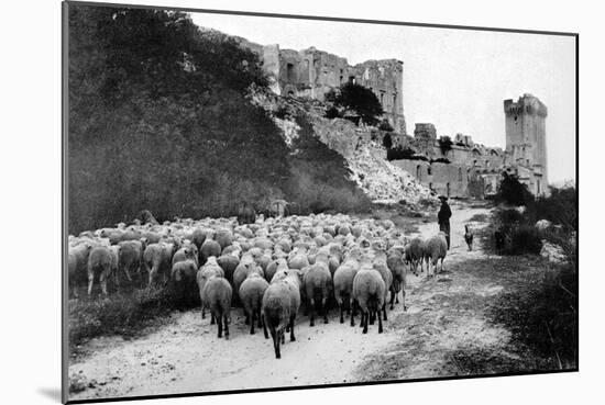 A Herd Passes in Front-Brothers Seeberger-Mounted Photographic Print