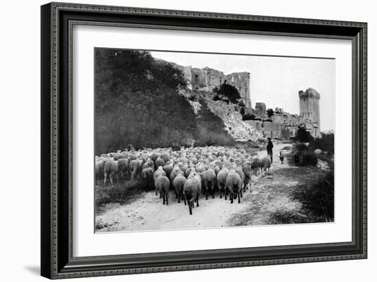 A Herd Passes in Front-Brothers Seeberger-Framed Photographic Print