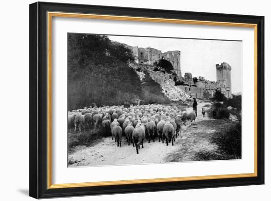 A Herd Passes in Front-Brothers Seeberger-Framed Photographic Print