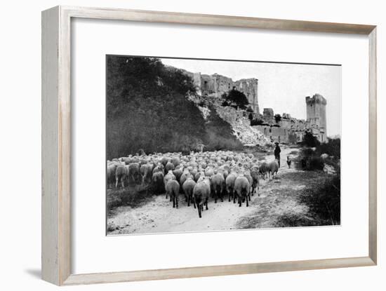 A Herd Passes in Front-Brothers Seeberger-Framed Photographic Print