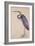 A Heron, C. 1820-null-Framed Giclee Print