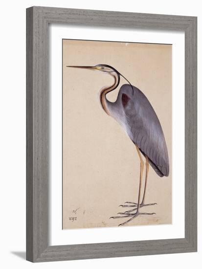 A Heron, C. 1820-null-Framed Giclee Print