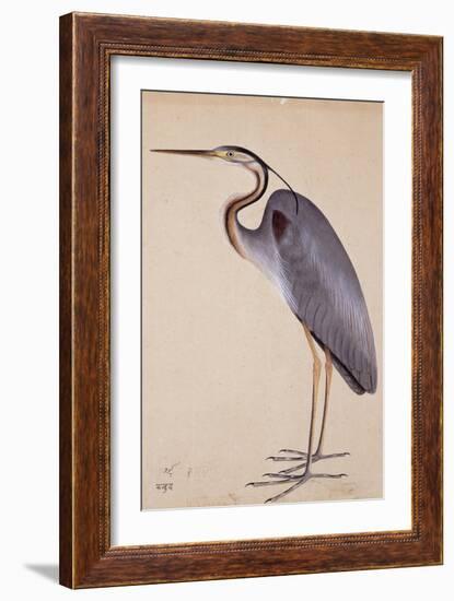 A Heron, C. 1820-null-Framed Giclee Print