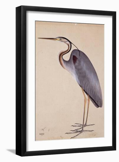 A Heron, C. 1820-null-Framed Giclee Print