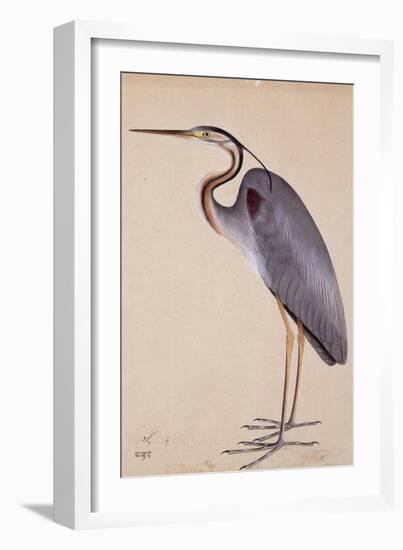 A Heron, C. 1820-null-Framed Giclee Print