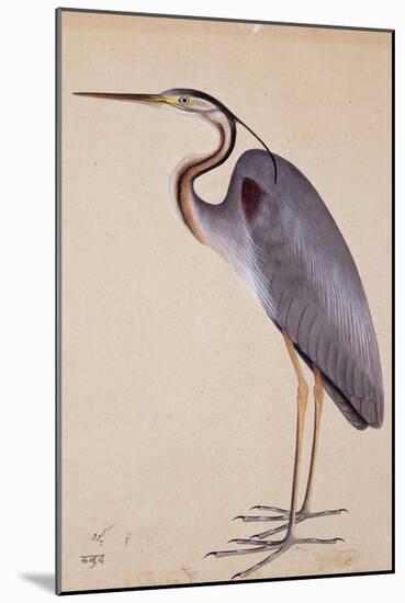 A Heron, C. 1820-null-Mounted Giclee Print