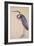 A Heron, C. 1820-null-Framed Giclee Print