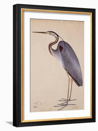 A Heron, C. 1820-null-Framed Giclee Print