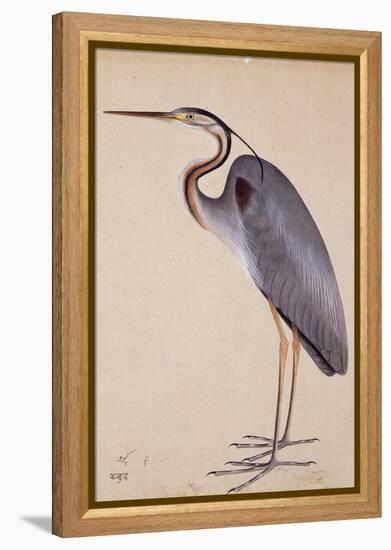 A Heron, C. 1820-null-Framed Premier Image Canvas