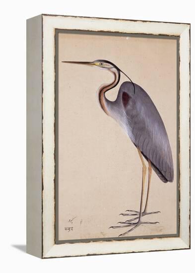 A Heron, C. 1820-null-Framed Premier Image Canvas