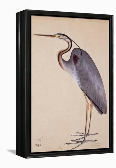 A Heron, C. 1820-null-Framed Premier Image Canvas