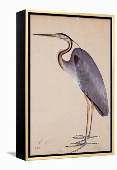 A Heron, C. 1820-null-Framed Premier Image Canvas