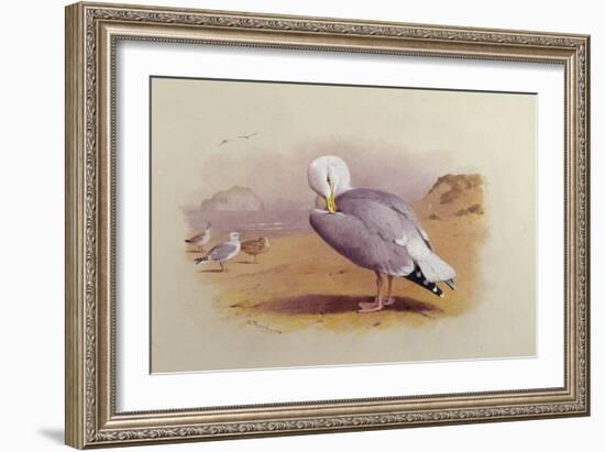 A Herring Gull on a Beach with the Bass Rock Beyond-Archibald Thorburn-Framed Giclee Print