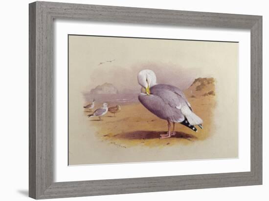 A Herring Gull on a Beach with the Bass Rock Beyond-Archibald Thorburn-Framed Giclee Print