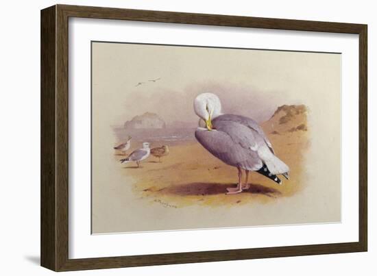 A Herring Gull on a Beach with the Bass Rock Beyond-Archibald Thorburn-Framed Giclee Print