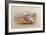 A Herring Gull on a Beach with the Bass Rock Beyond-Archibald Thorburn-Framed Giclee Print