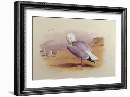 A Herring Gull on a Beach with the Bass Rock Beyond-Archibald Thorburn-Framed Giclee Print