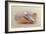 A Herring Gull on a Beach with the Bass Rock Beyond-Archibald Thorburn-Framed Giclee Print