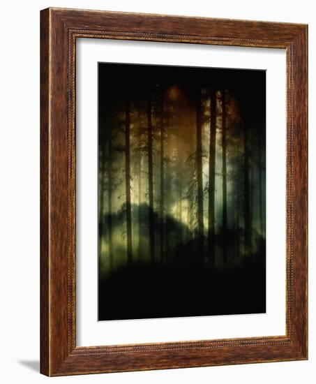 A Hidden World-Julie Fain-Framed Art Print