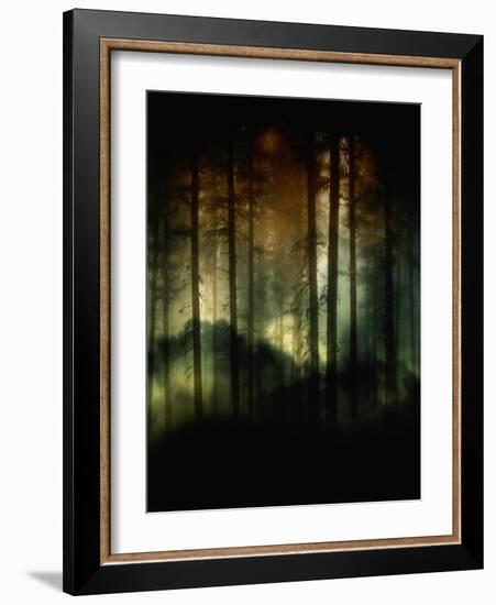 A Hidden World-Julie Fain-Framed Art Print