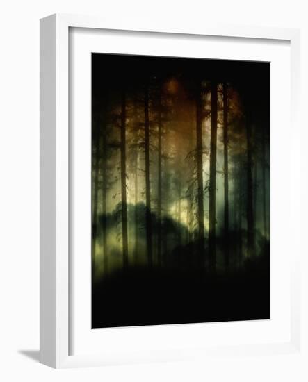 A Hidden World-Julie Fain-Framed Art Print