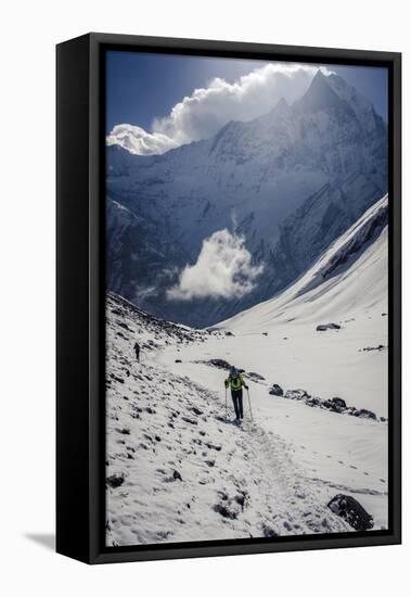 A Hiker Ascends the Modi Khola Valley to Reach Annapurna Base Camp, 4130M-Andrew Taylor-Framed Premier Image Canvas