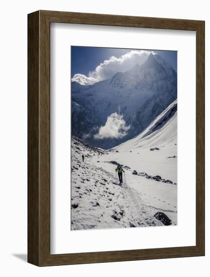 A Hiker Ascends the Modi Khola Valley to Reach Annapurna Base Camp, 4130M-Andrew Taylor-Framed Photographic Print