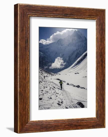 A Hiker Ascends the Modi Khola Valley to Reach Annapurna Base Camp, 4130M-Andrew Taylor-Framed Photographic Print