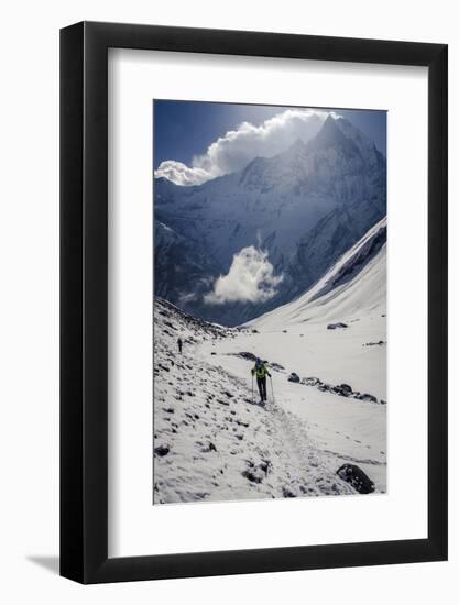 A Hiker Ascends the Modi Khola Valley to Reach Annapurna Base Camp, 4130M-Andrew Taylor-Framed Photographic Print