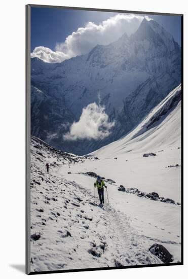 A Hiker Ascends the Modi Khola Valley to Reach Annapurna Base Camp, 4130M-Andrew Taylor-Mounted Photographic Print