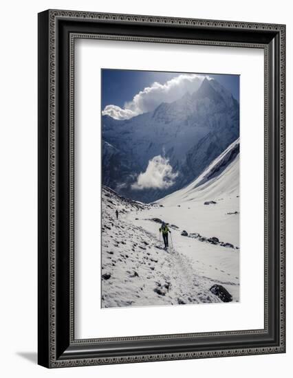 A Hiker Ascends the Modi Khola Valley to Reach Annapurna Base Camp, 4130M-Andrew Taylor-Framed Photographic Print