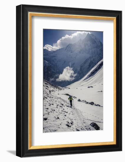 A Hiker Ascends the Modi Khola Valley to Reach Annapurna Base Camp, 4130M-Andrew Taylor-Framed Photographic Print