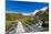 A hiking trail crosses wooden bridge over a creak high up in the mountains, New Zealand-Logan Brown-Mounted Photographic Print